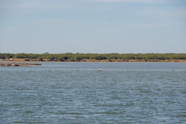 Baffin Bay shoreline